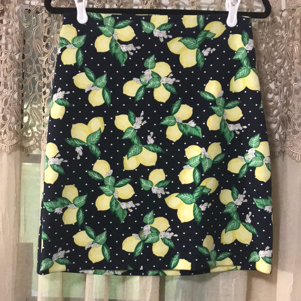 Talbots Petites Skirt